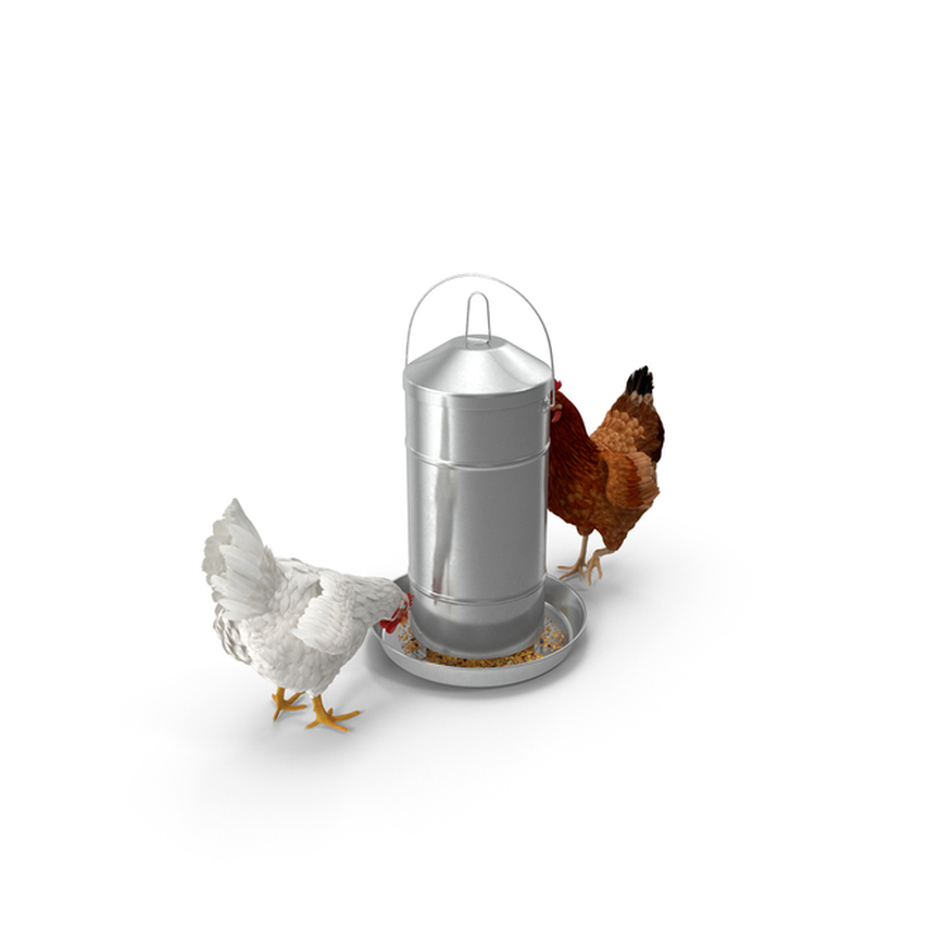 ACCESORIOS GANADERÍA